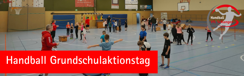 Read more about the article Gelungener Handballaktionstag an der Grundschule Schlangen