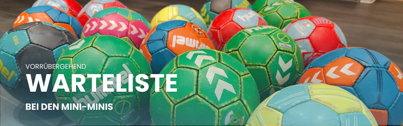Mehr über den Artikel erfahren Mini-Minis: Wir starten eine Warteliste
