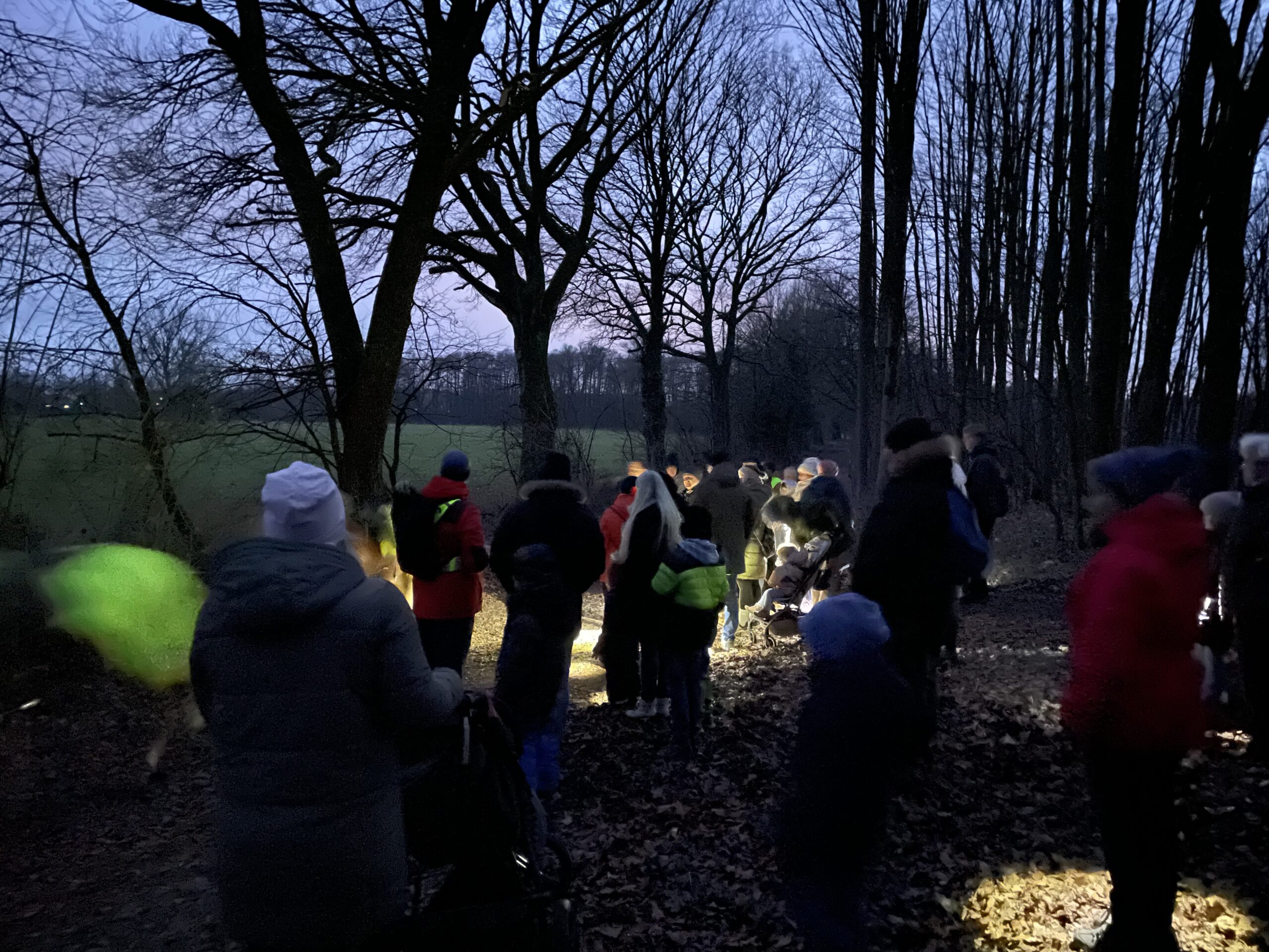 Mehr über den Artikel erfahren Abenteuerliche Taschenlampenwanderung